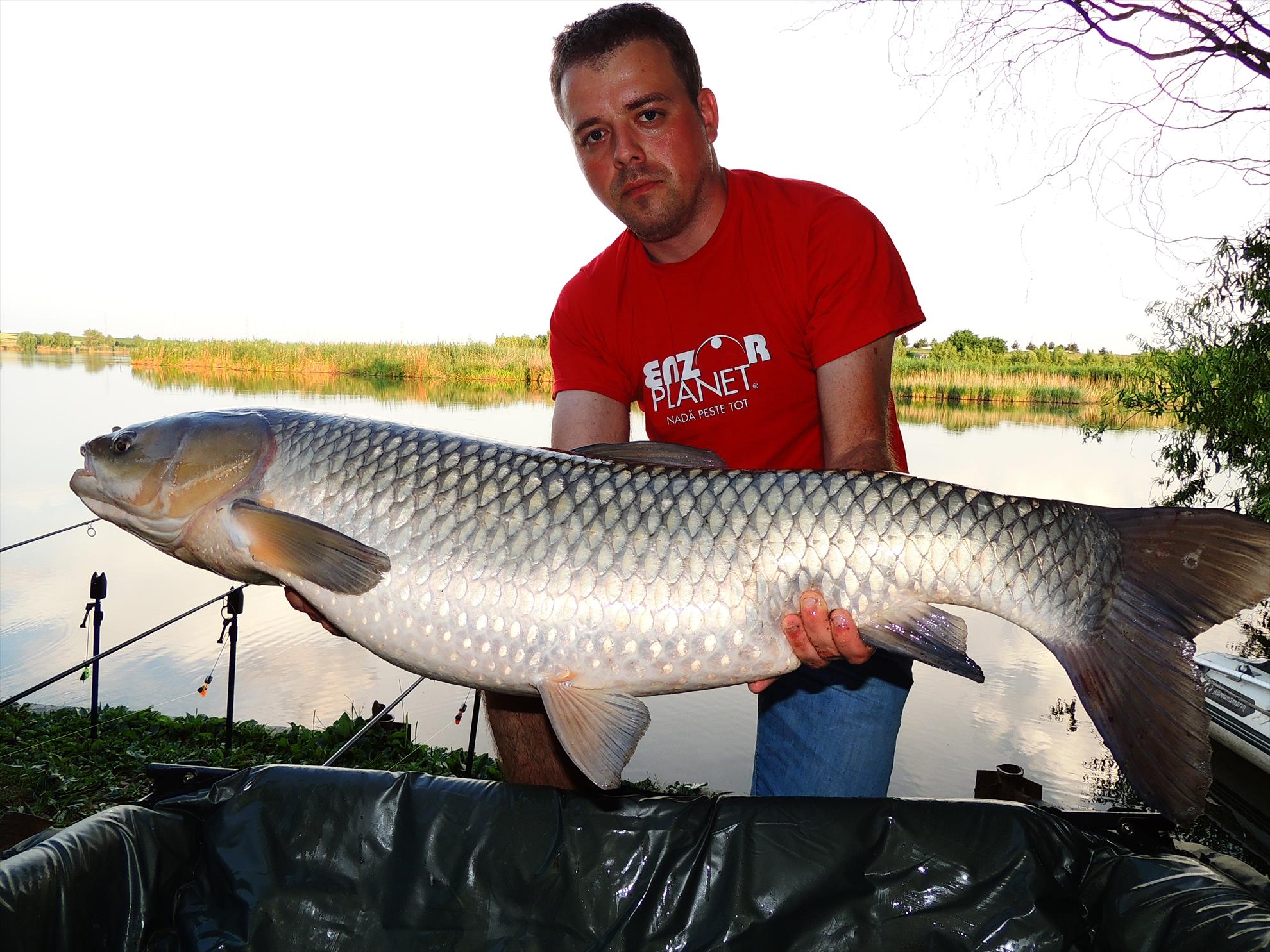 Tancabesti 14 - 16 iunie 2015 - dscn6788.JPG